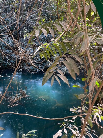 Poço Verde com águas cristalinas em meio à mata densa