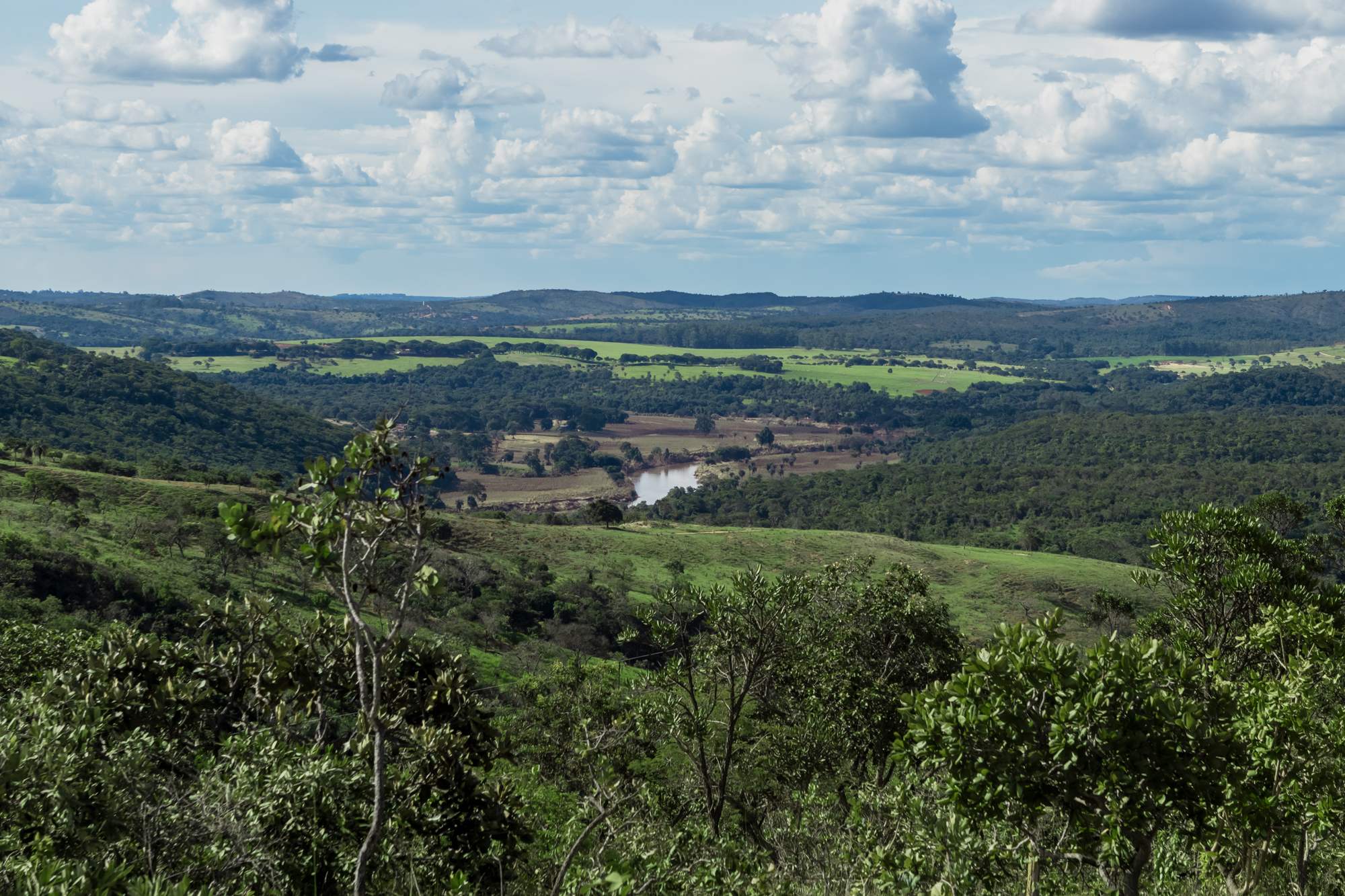 Mirante Verde Mata com vista ampla para o horizonte preservado