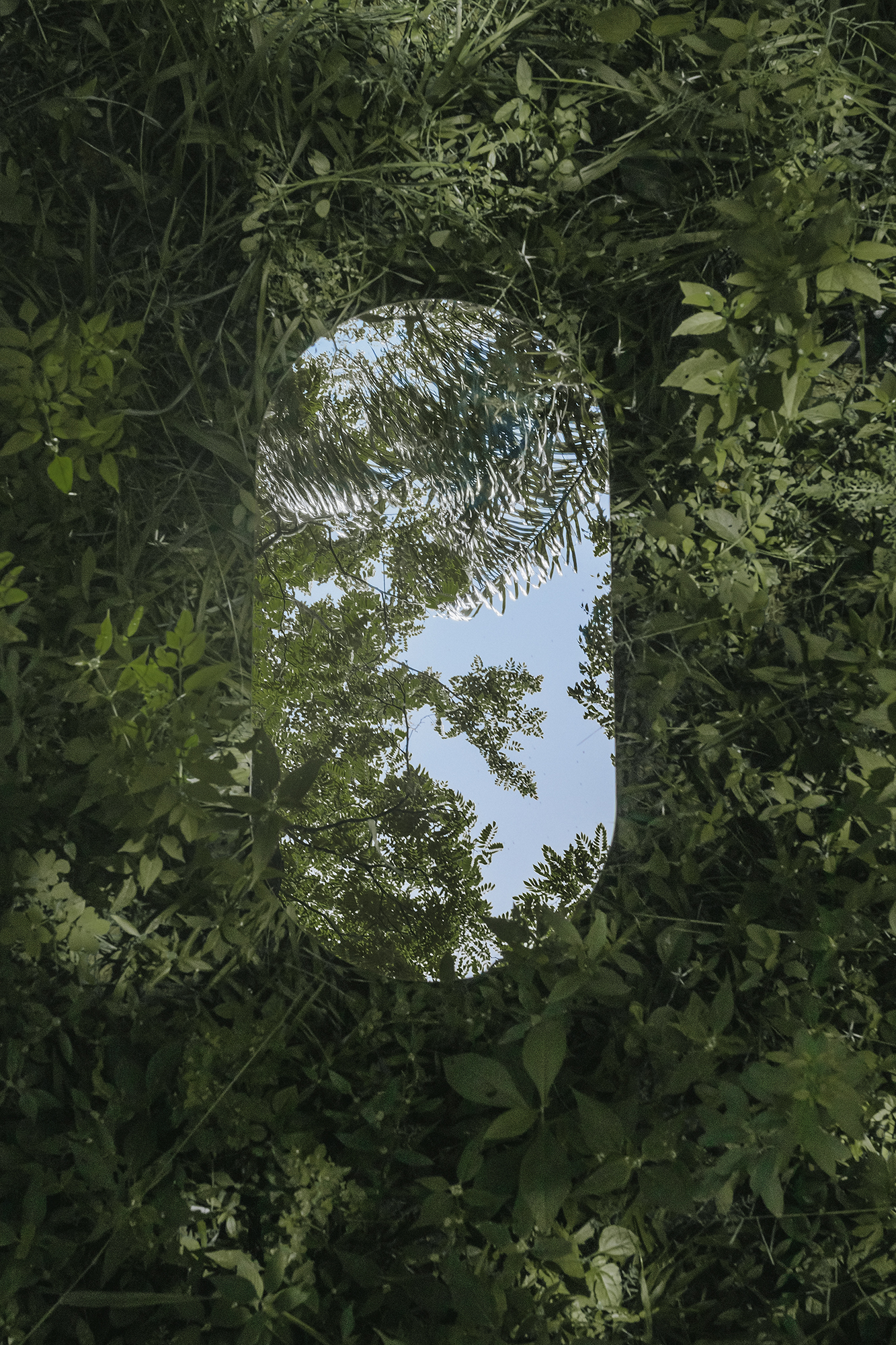 Espelho refletindo árvore e céu no Terras Verdes