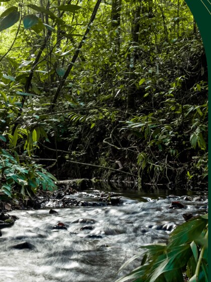Riacho das Pedras correndo entre a vegetação preservada